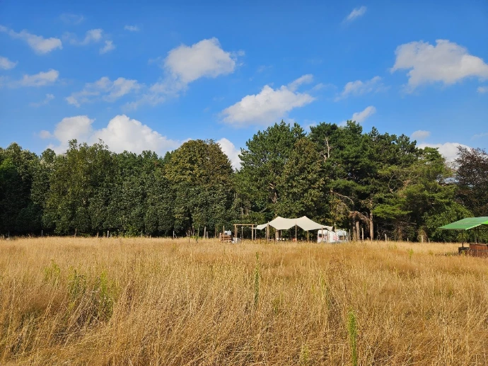 Stretchtenten in een veld