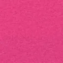 Fushia Pink.webp
