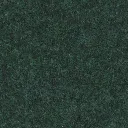 Dark Green.webp