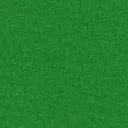 Grass Green.webp