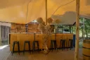 Bar Kastanje - 150cm
