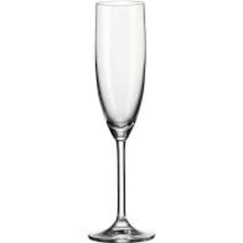 Champagneglas Classic 19cl (36 stuks)